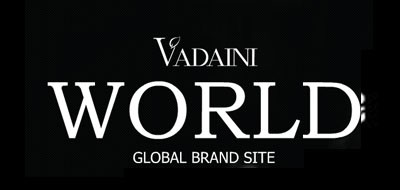 VADAINI/华丹尼品牌LOGO图片