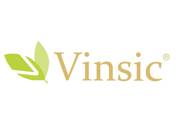Vinsic/文斯可品牌LOGO