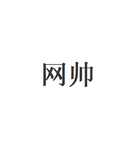 网帅品牌LOGO图片