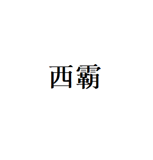 西霸品牌LOGO图片