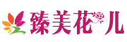 ZHENMEI/臻美品牌LOGO图片