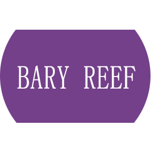BARY REEF品牌LOGO图片