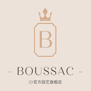 BOUSSACLOGO