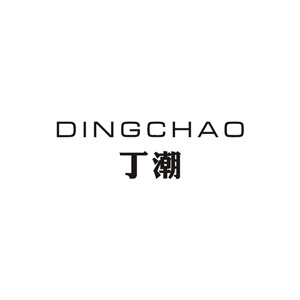 DINGCHAO/丁潮品牌LOGO图片