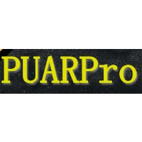 puarpro/伯瑞普艾品牌LOGO图片