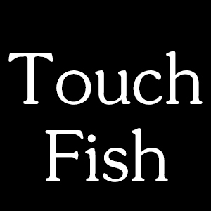 Touch Fish品牌LOGO
