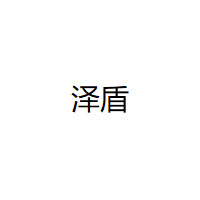 泽盾品牌LOGO