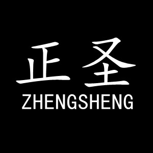 正圣品牌LOGO图片