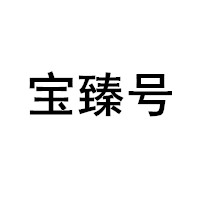 宝臻号LOGO