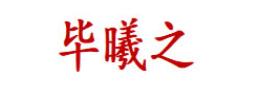 毕曦之品牌LOGO