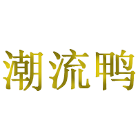 潮流鸭品牌LOGO图片