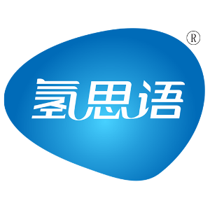 H2/氢思语品牌LOGO图片