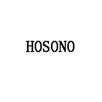 HOSONO品牌LOGO图片