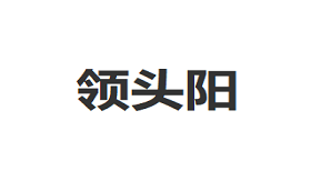 领头阳品牌LOGO图片