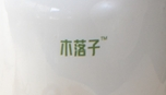 木落子品牌LOGO