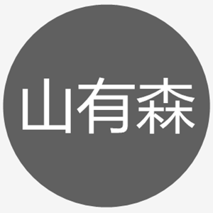 山有森LOGO