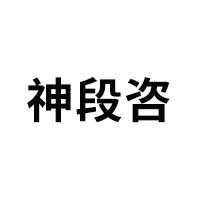 神段咨LOGO