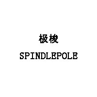 SPINDLEPOLE/极梭品牌LOGO图片
