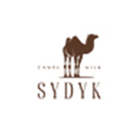 SYDYK品牌LOGO图片