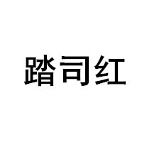 踏司红LOGO