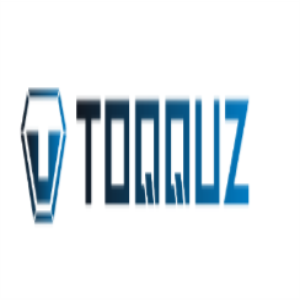 toqquzLOGO