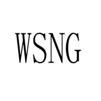 wsng品牌LOGO图片