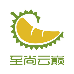 至尚云巅品牌LOGO图片