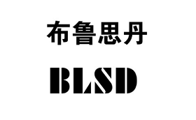 BLSD/布鲁思丹LOGO