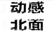 DYNAMIC NORTH/动感北面品牌LOGO图片