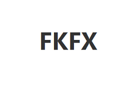 FKFX品牌LOGO