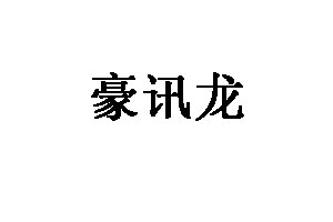 豪讯龙品牌LOGO图片