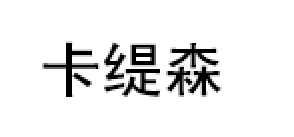 卡缇森品牌LOGO图片