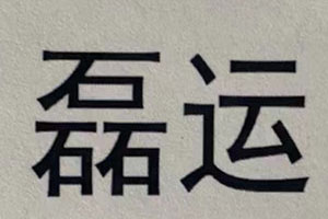 磊运品牌LOGO