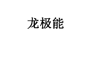 龙极能品牌LOGO