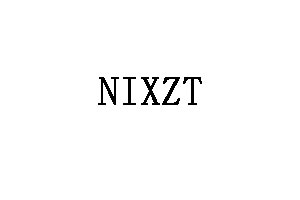 NIXZT品牌LOGO图片