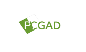 PCGAD品牌LOGO图片