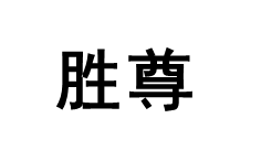 SHENGZUN/胜尊品牌LOGO图片