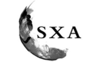 SXA品牌LOGO