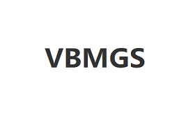 VBMGS品牌LOGO图片