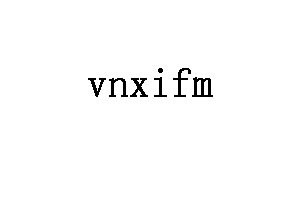 vnxifm品牌LOGO图片