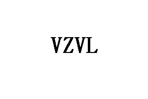VZVL品牌LOGO图片