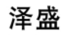 泽盛品牌LOGO图片