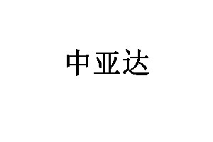 中亚达品牌LOGO图片