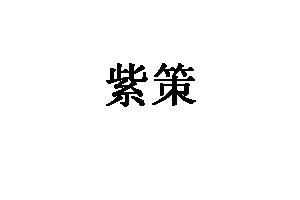 紫策品牌LOGO