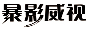 暴影威视品牌LOGO图片
