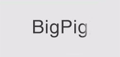 BIGPIG品牌LOGO图片