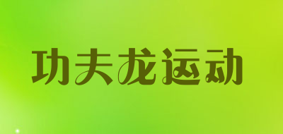 功夫龙运动品牌LOGO