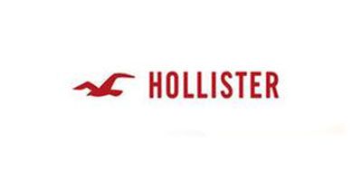 HOLLISTER./霍利斯特品牌LOGO