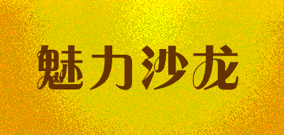 魅力沙龙品牌LOGO图片