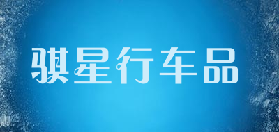 骐星行车品LOGO